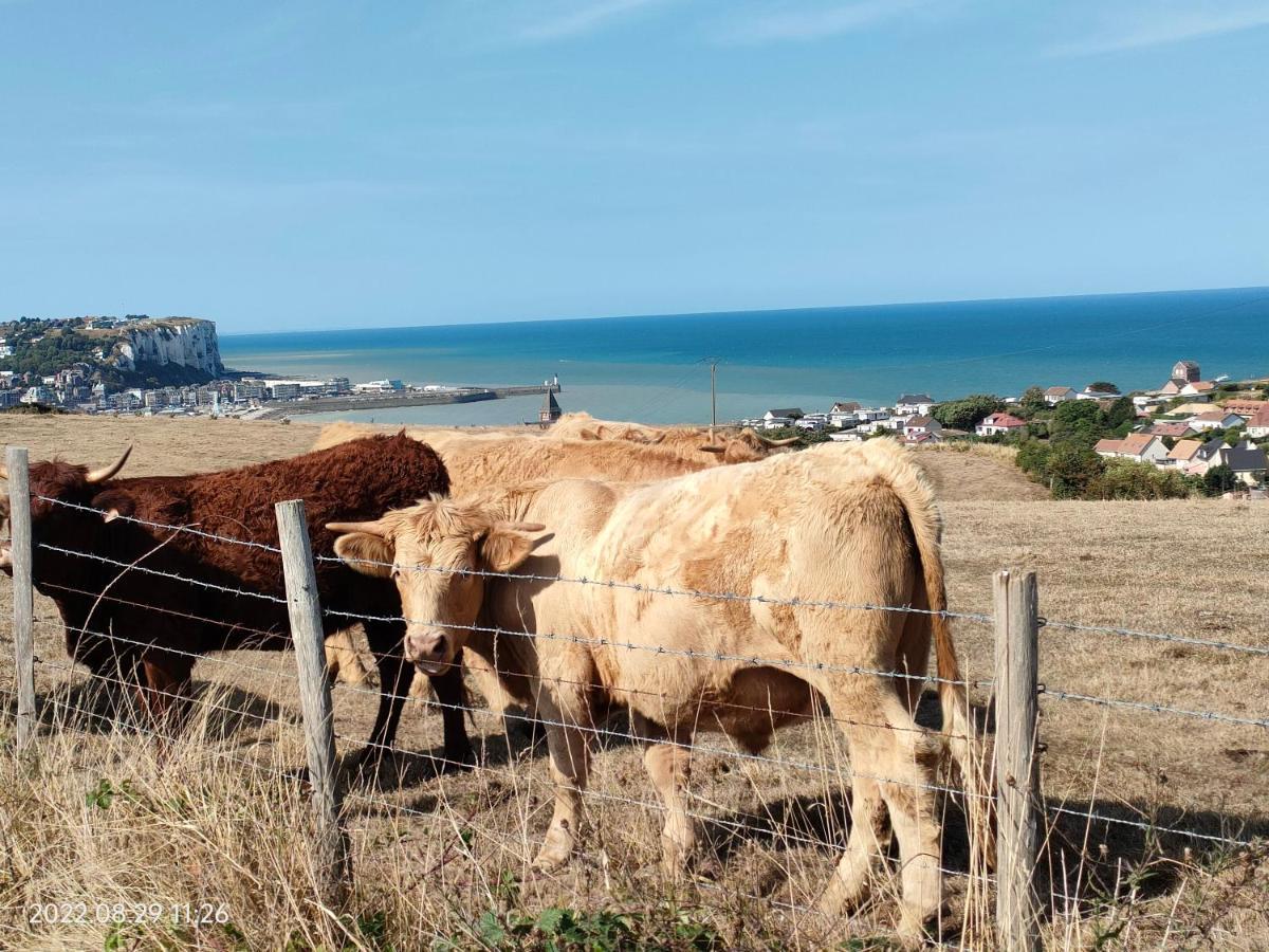 מרס-לה-באן Villa Du Littoral מראה חיצוני תמונה